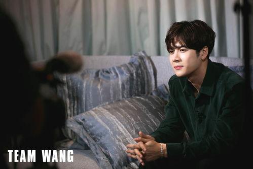 王嘉尔的爆料视频在线观看,娱乐圈幕后真相大曝光! 第2张 王嘉尔的爆料视频在线观看,娱乐圈幕后真相大曝光! 第2张